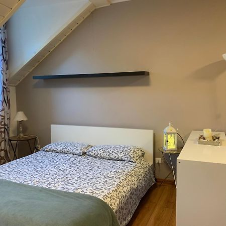 Loft L'Alessandra ボルツァーノ エクステリア 写真